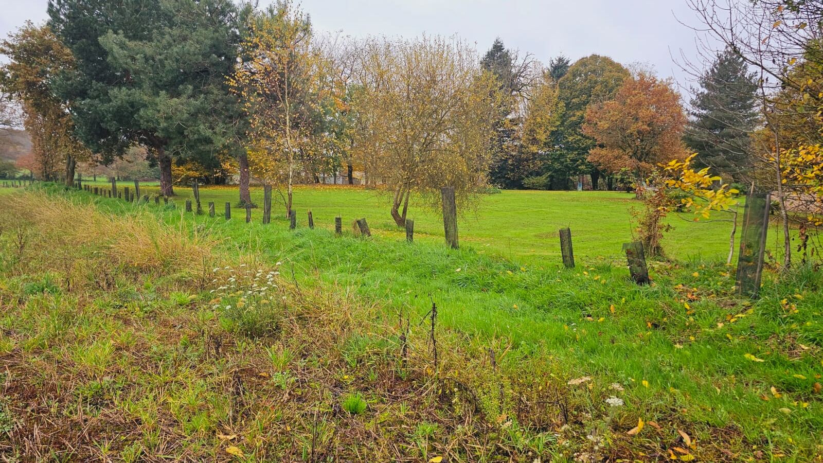 Bocage en automne en Pays de la Loire