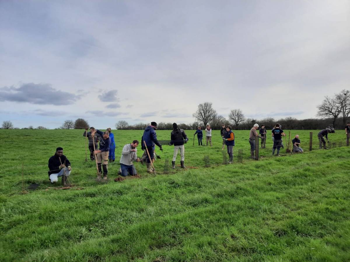 Plantation collective